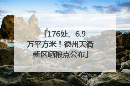 176处、6.9万平方米！德州天衢新区晒粮点公布